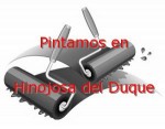 pintor_hinojosa-del-duque.jpg