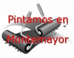 pintor_montemayor.jpg